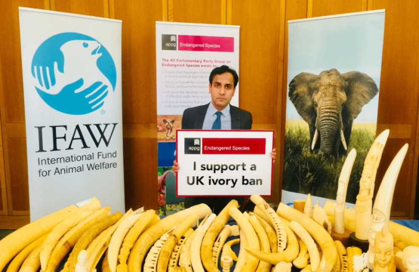 Ivory Ban