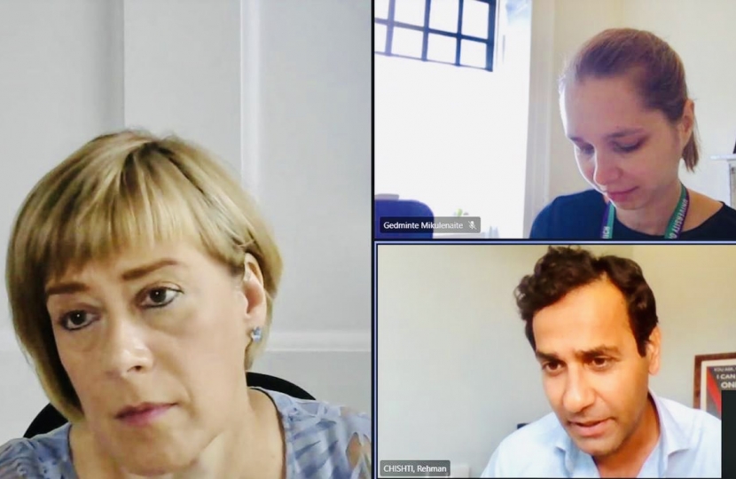 Screenshot of virtual meeting