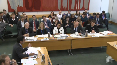 Panel of Home Affairs Select Committee witnesses