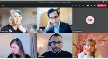 Screenshot of virtual meeting