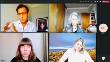 Screenshot of virtual APPG meeting