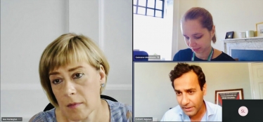 Screenshot of virtual meeting